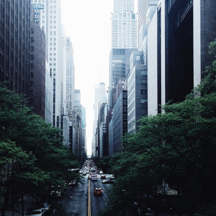 Urban cityscape with tall buildings and a street lined with trees, representing city expansion.